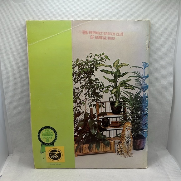 Professional Guide to Green Plants Houseplant guide - Picture 3 of 10